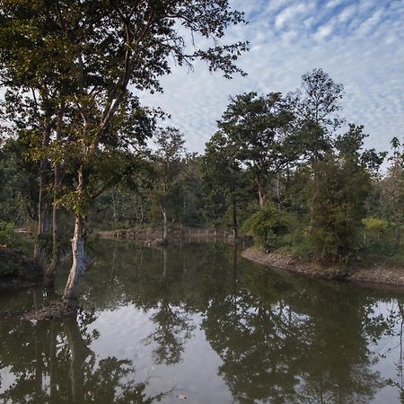 Wowstayz Pachmarhi Ecotel Екстер'єр фото